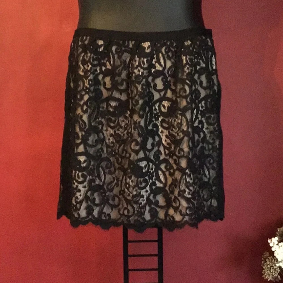 ANN TAYLOR LOFT LACE OVER LACE SKIRT SIZE 10 - Picture 1 of 3